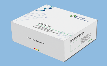 小鼠白介素1β(Interleukin 1 Beta;IL-1β)ELISA试剂盒