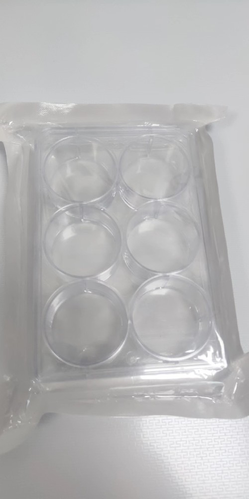 细胞培养板/带低蒸发盖板(贴壁培养） 191-9381 6孔带盖细胞培养板，贴壁，平底， 透明，单个灭菌包装