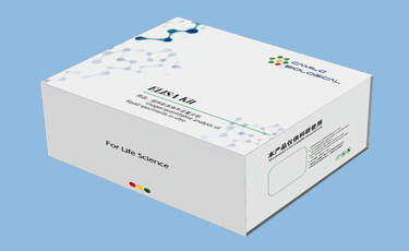 小鼠白介素6(Interleukin 6;IL-6)ELISA试剂盒